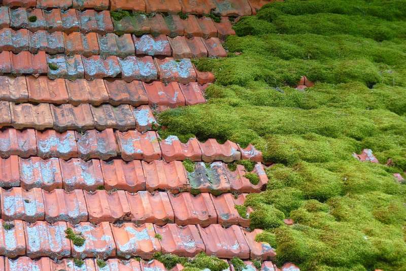 nettoyage et démoussage de toiture à Achicourt